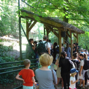 zoo de Beauval