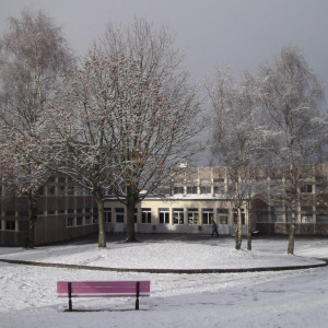 Sous la neige de noël 2010