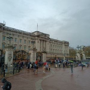 Passage express devant Buckingham Palace. Charles et Camilla n'y étaient pas.