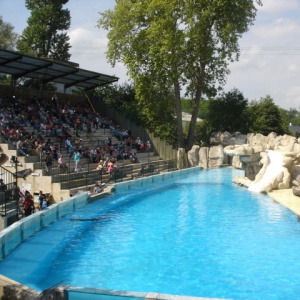 zoo de Beauval