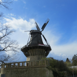Jour 4 Parc Sansscouci : le moulin historique